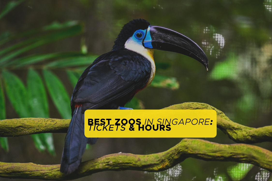 zoos in singapore