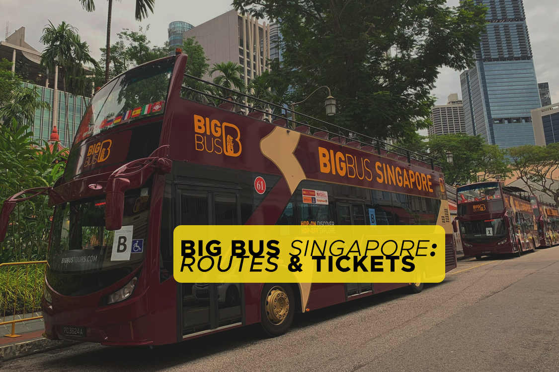 big bus singapore hop on hop off tour