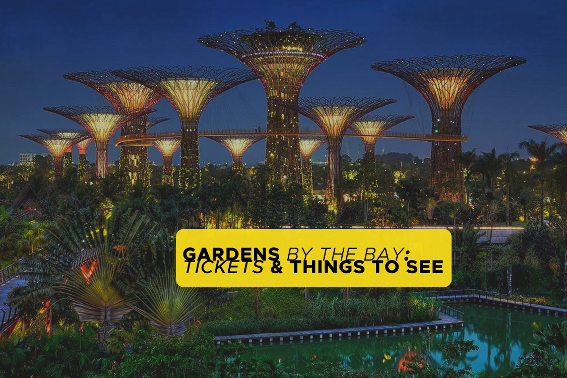 gardens by the bay singapore