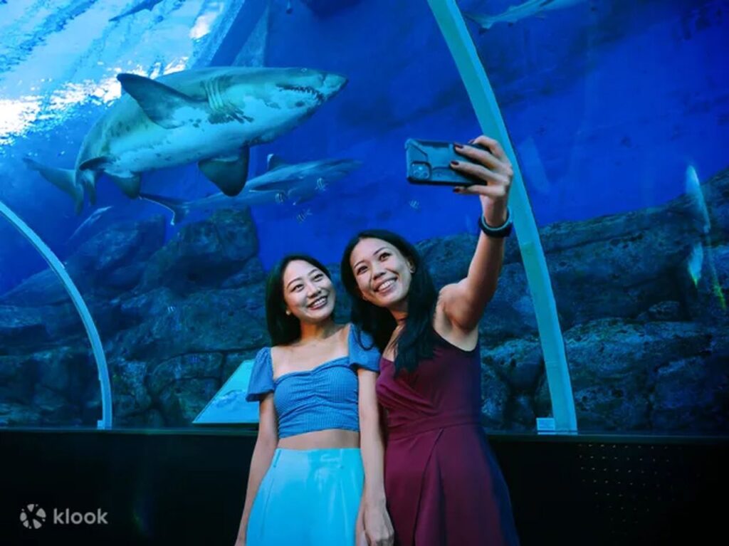 singapore aquarium tickets