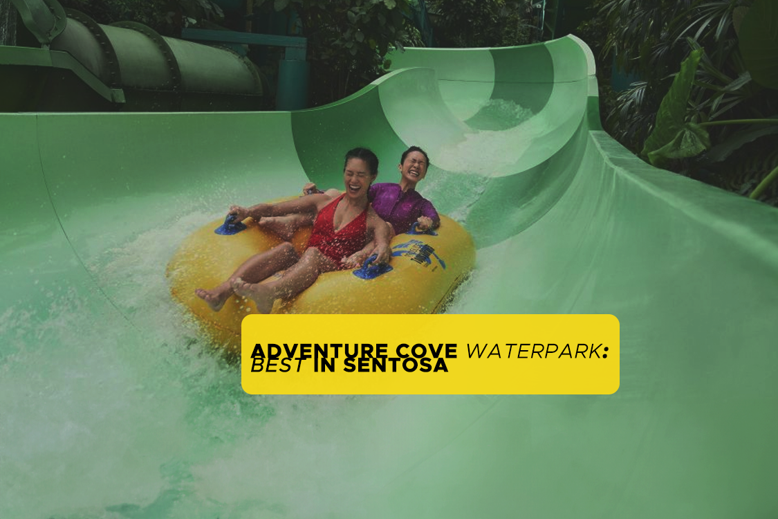 singapore adventure cove waterpark entrance ticket