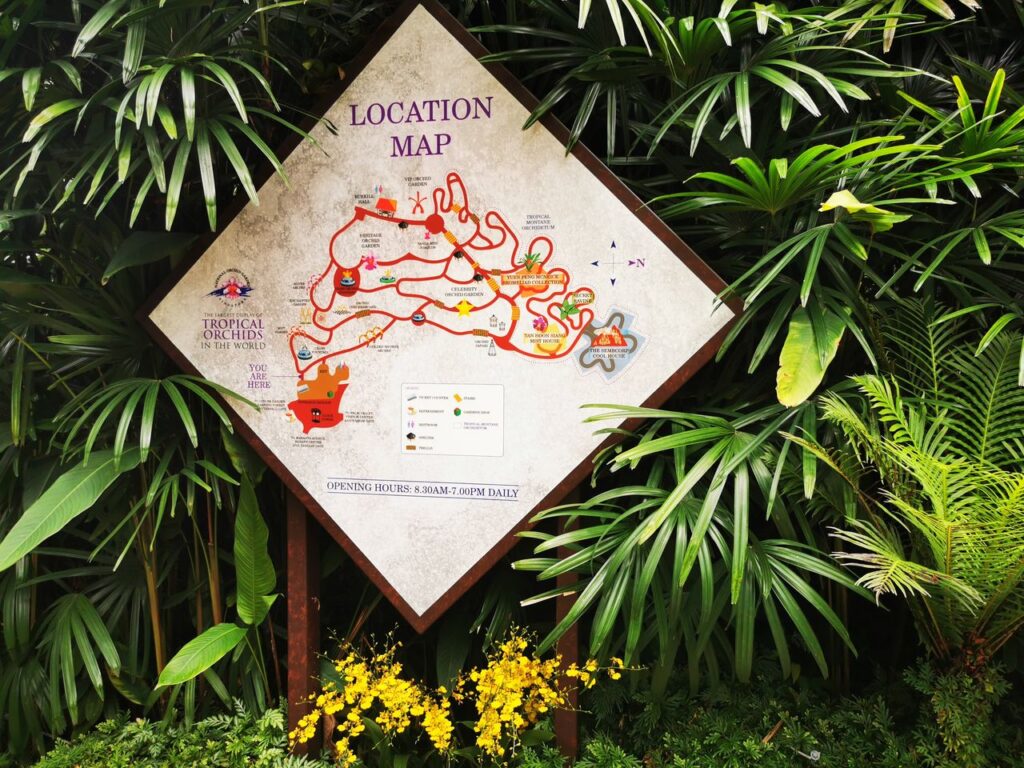 national orchid garden singapore botanic gardens